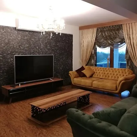 Kirkpinar Sapanca Villa *